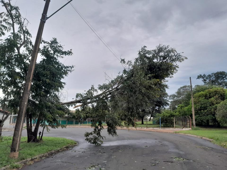 Foto 10 de 40 — Veja fotos do cenário em Boa Esperança do Sul após forte temporal